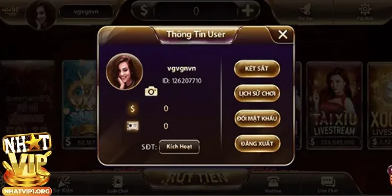 Các điều cần lưu ý khi muốn đăng ký Nhatvip