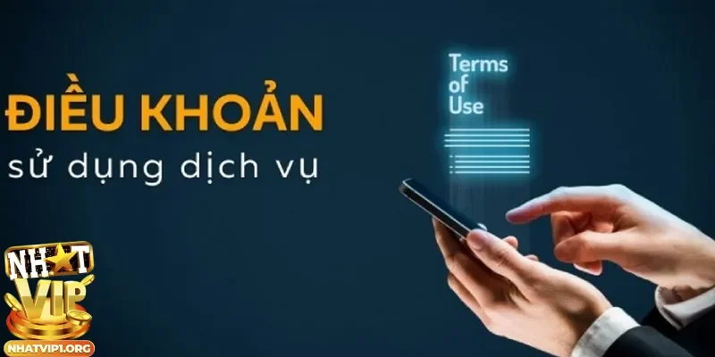 Vì sao cần nắm các điều khoản điều kiện Nhatvip?
