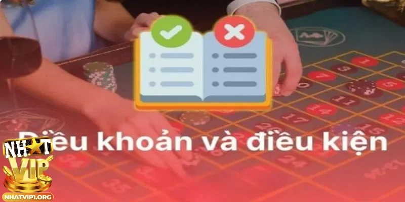 Thông tin quy định được đề cập trong điều khoản điều kiện