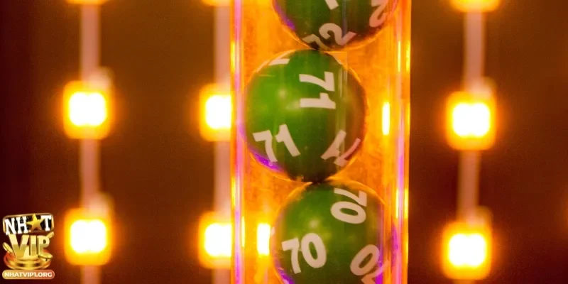 Tham khảo và áp dụng kinh nghiệm nuôi bạch thủ đề hiệu quả