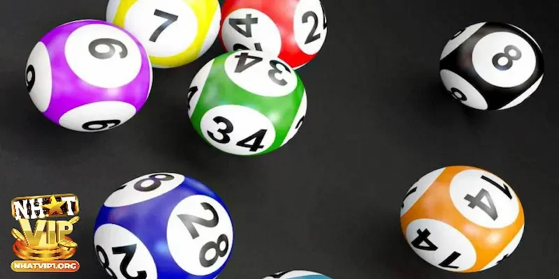 Theo dõi kết quả và rút kinh nghiệm sau kỳ chơi xổ số Bạc Liêu