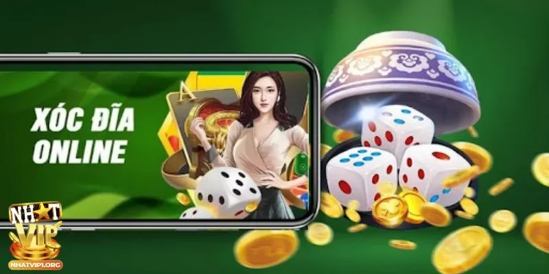 Tổng quan về xóc đĩa